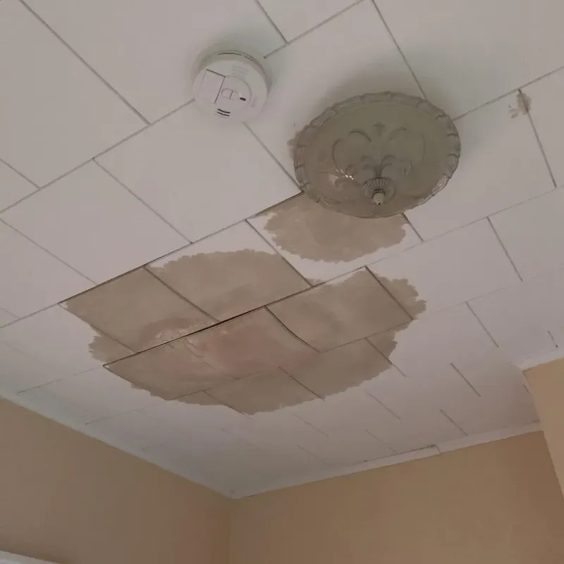 Ceiling Water Damage Repair in West Point, VA