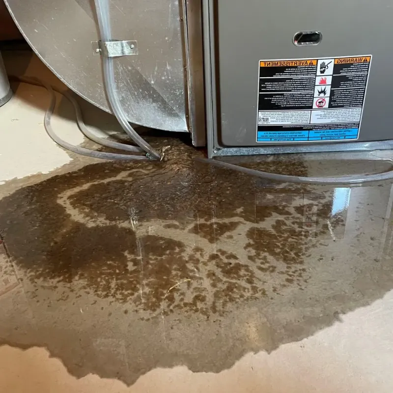 Pipe Burst and Leak Restoration in West Point, VA