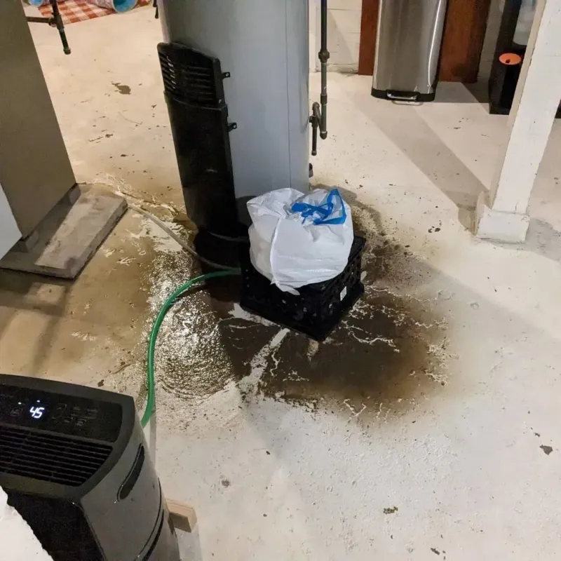 Sewage Backup Cleanup Service in West Point, VA